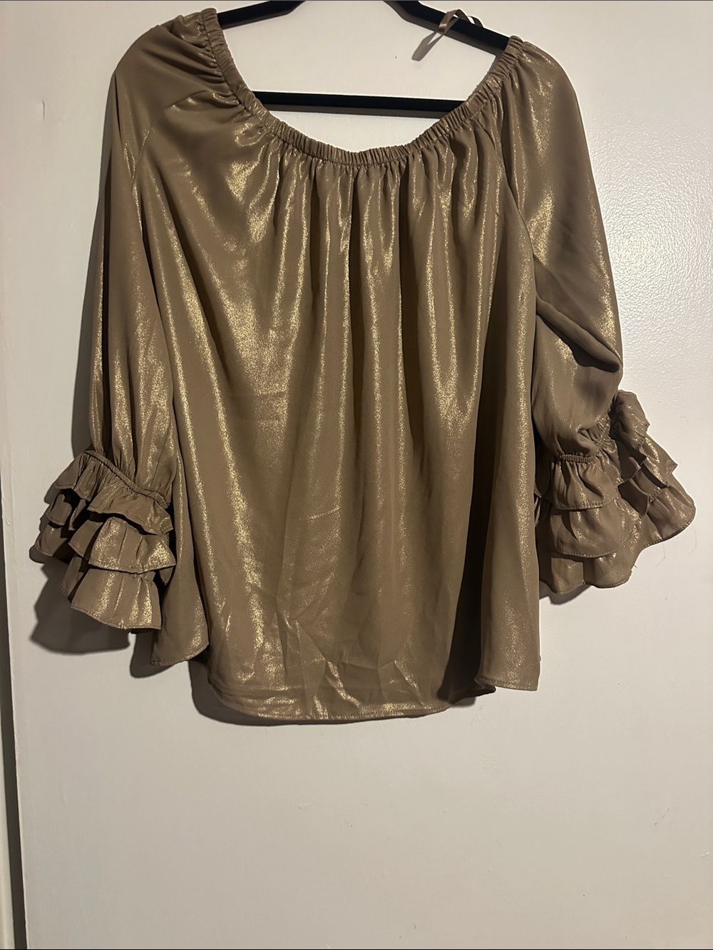 Cato Shimmery Taupe Off-Shoulder Ruffle Sleeve Top